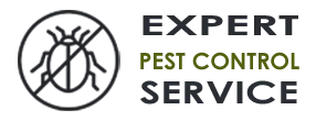 Expert Exterminator Co  Miami Beach FL